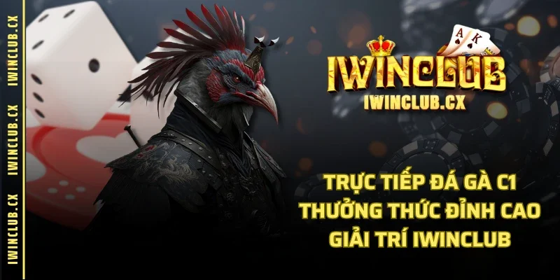 Trực Tiếp Đá Gà C1 - Thưởng Thức Đỉnh Cao Giải Trí IWINCLUB