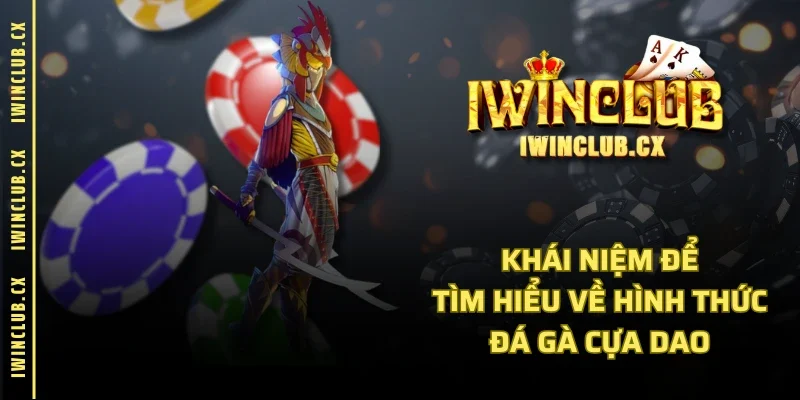 Khái niệm để tìm hiểu về hình thức đá gà cựa dao