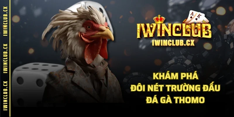 Khám phá đôi nét trường đấu đá gà Thomo