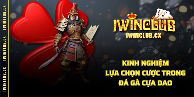 Kinh nghiệm lựa chọn cược trong đá gà cựa dao